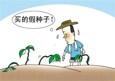 鸿亿丨用散装玉米种子假冒品牌商标商品，6人获刑赔偿300万元