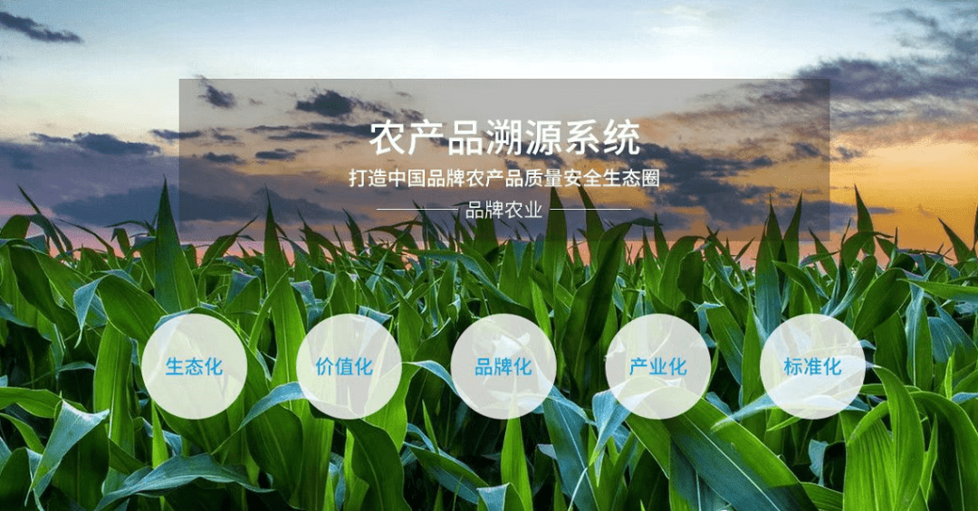 揭秘农产品防伪溯源的4大原因 