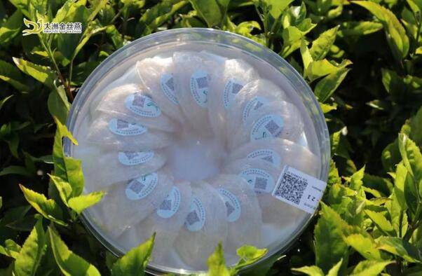 鸿亿分享丨一盏一码核心产地溯源 大洲金丝燕溯源干盏彰显燕窝极客“真”品质 