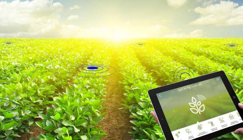 智慧农场：通过小程序认养农作物 