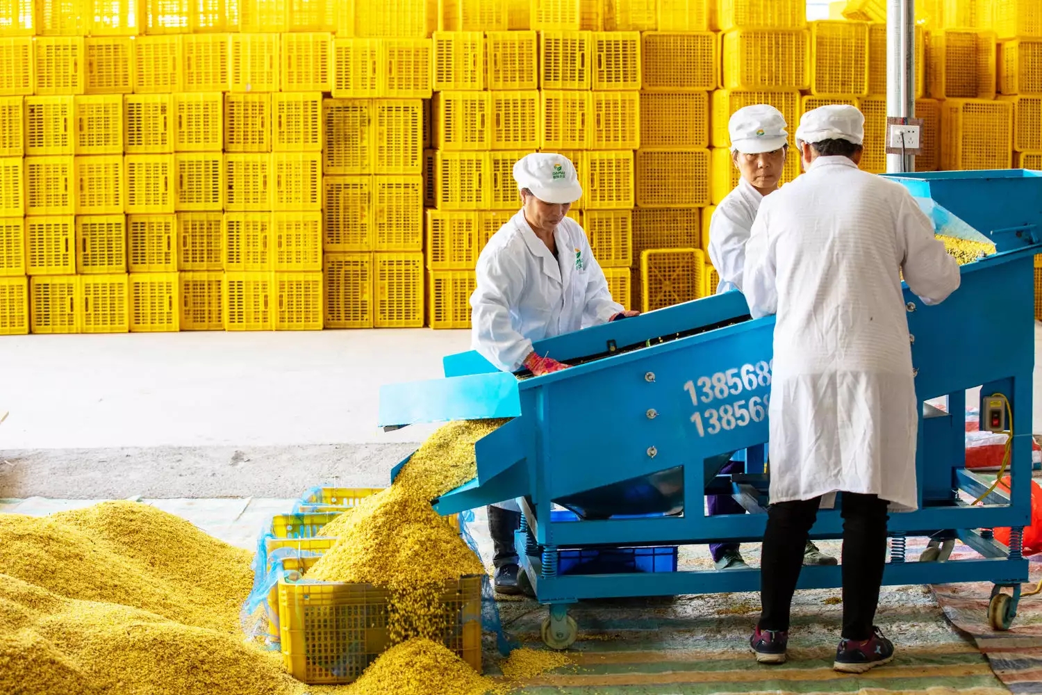 溯源产地“本味”，钟薛高产品创新赋能乡村振兴