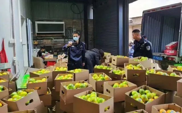 知名地理标志产品被假冒——甜橙变“褚橙”，涉案金额达8.6万元