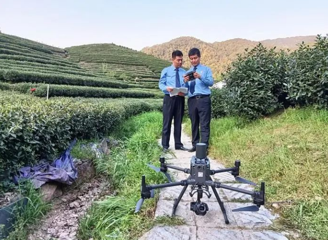 全链条保护“西湖龙井”