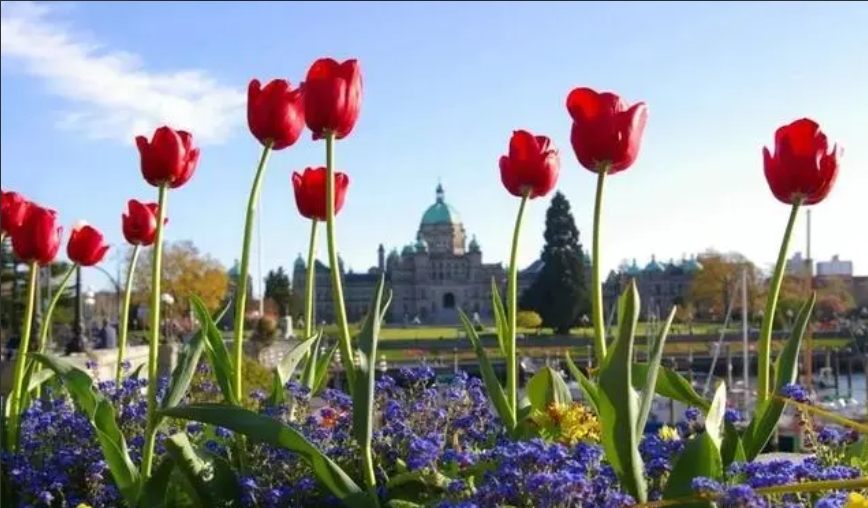 素材库系统革新内容创作，赋能数字时代创意飞跃